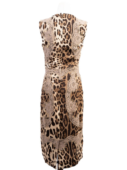 Excellent Dolce Gabbana Leopard Print Lace Sleeveless Dress Size M