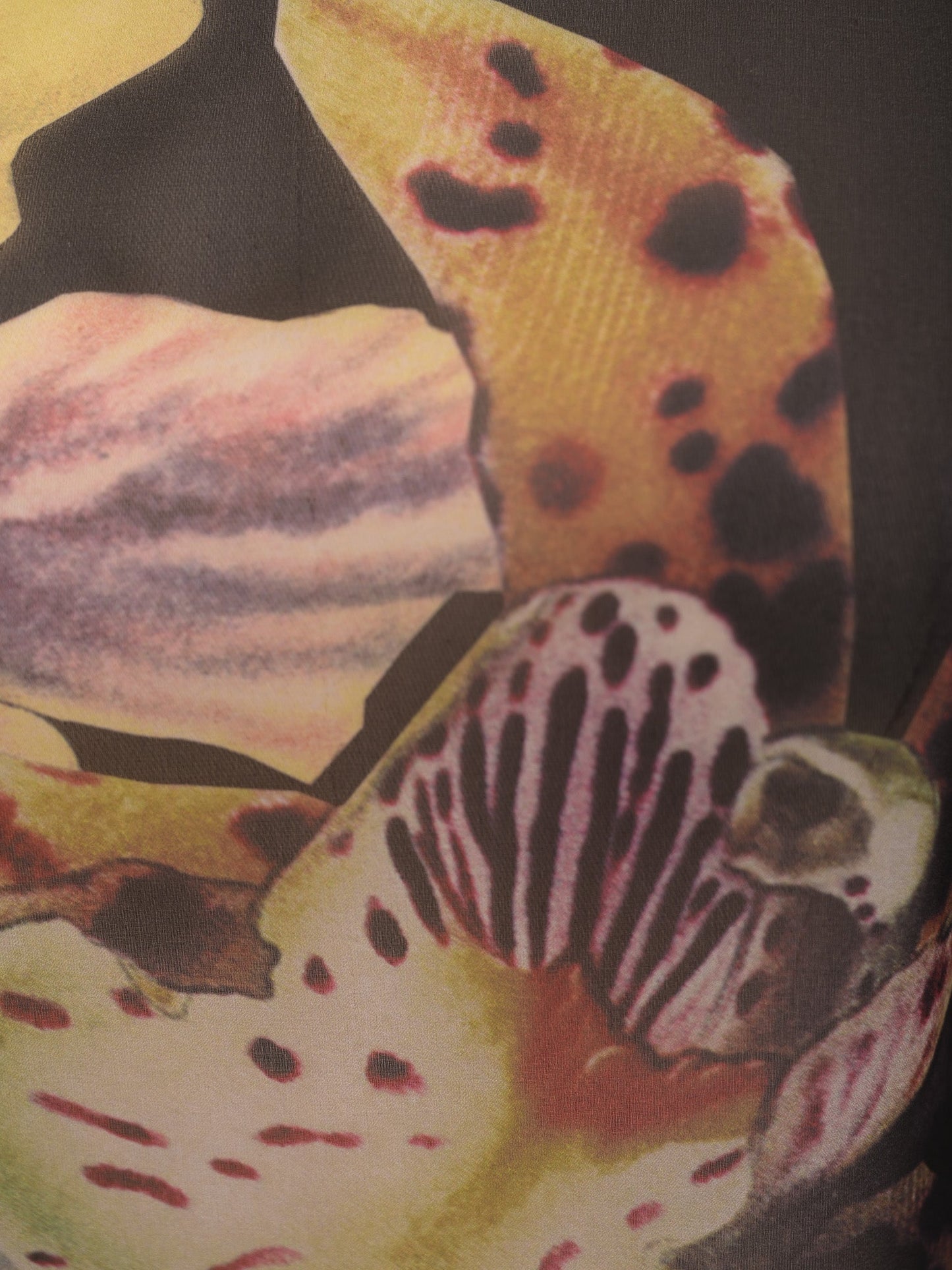 excellent ted baker black floral print top size s cotton