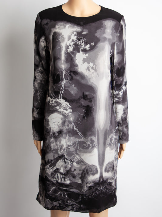 Good Alexander McQueen Gray Silk Dress Long Sleeve Stormy Print