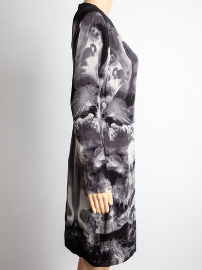 Good Alexander McQueen Gray Silk Dress Long Sleeve Stormy Print