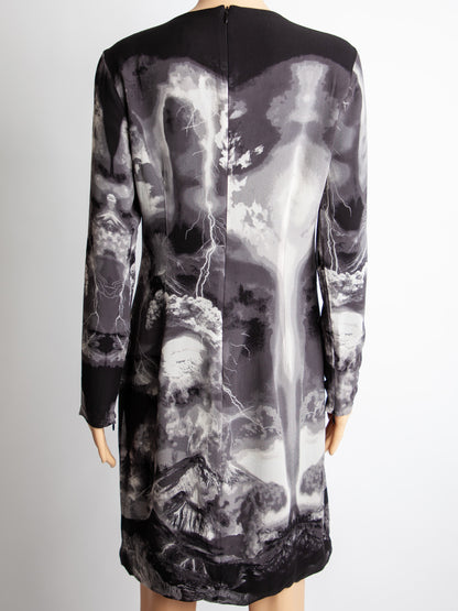 Good Alexander McQueen Gray Silk Dress Long Sleeve Stormy Print
